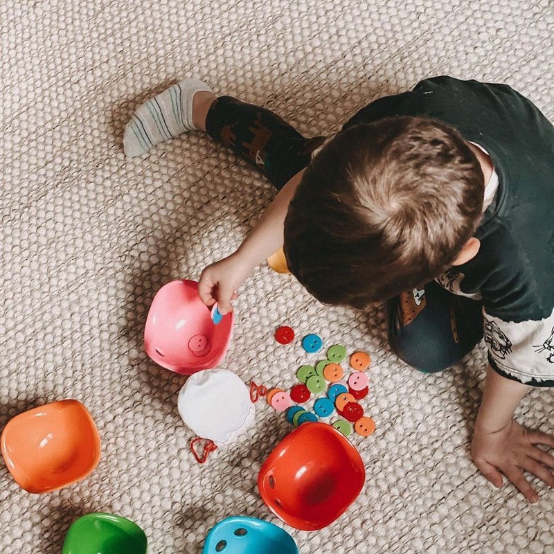 Moluk παιχνίδι ανακάλυψης Game Box